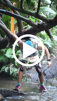 BIB:  <button type="button" onclick="openModal(27824606)" class="btn btn-primary btn-sm float-right" data-toggle="modal" data-target=".modal-high-quality">
                <i class="fa fa-download"></i> Download
                </button>